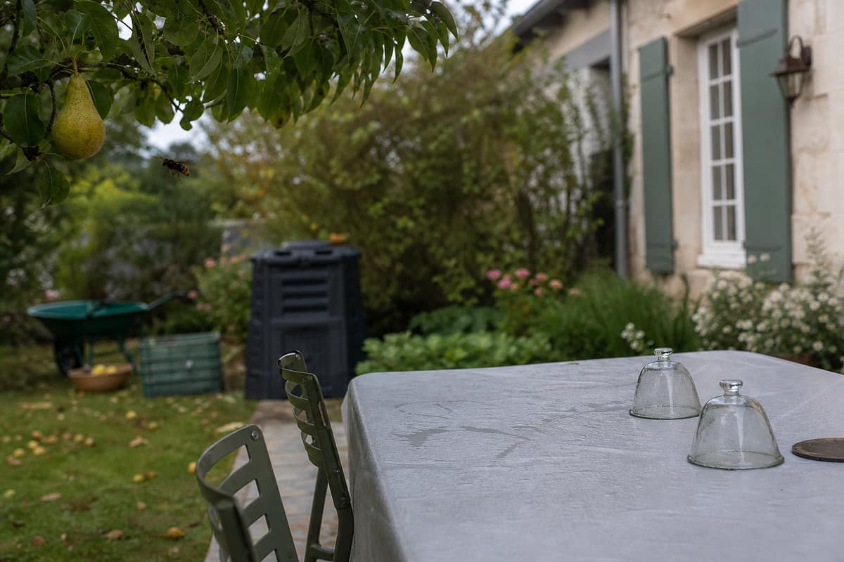 Terrasse de jardin rangée près d’un arbre fruitier en fin d’été