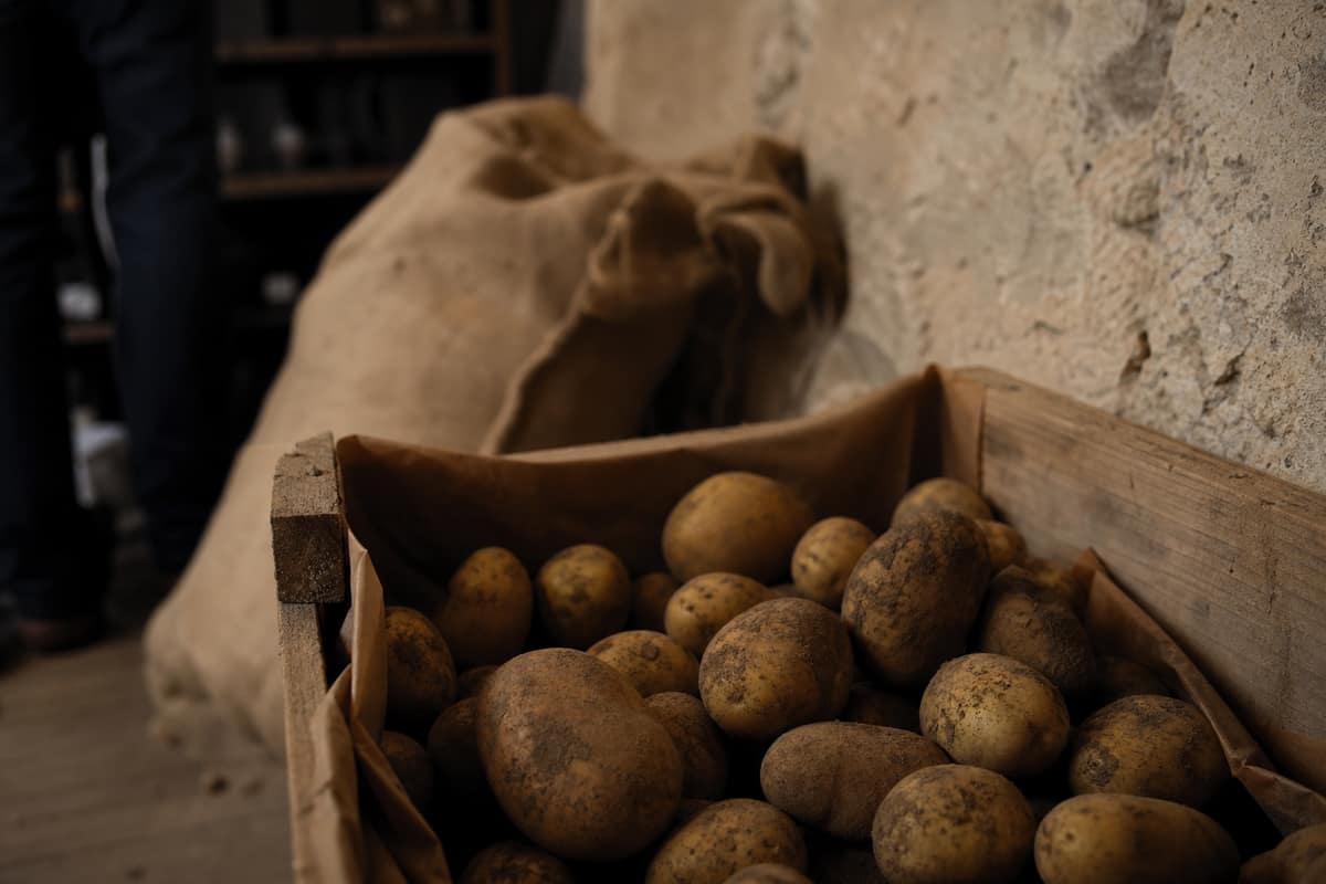 Pommes de terre rangées dans une cagette aérée tapissée de papier kraft