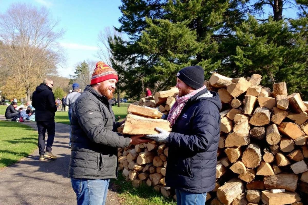 Bûches fendues séchant sous un abri près d’une forêt communale