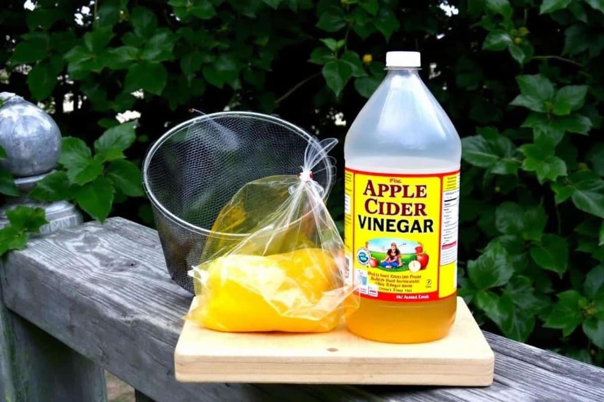 Bocal de vinaigre couvert posé près d’une corbeille de fruits mûrs