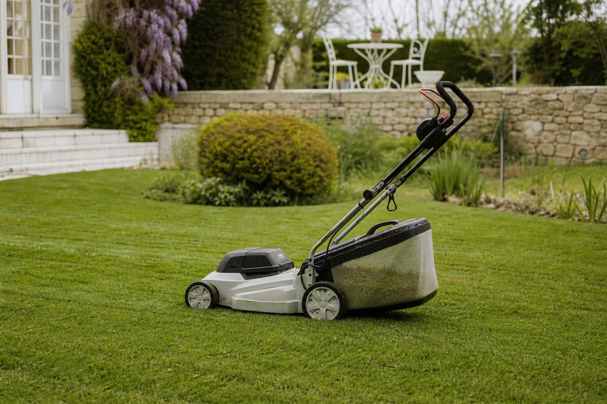 Première tonte d’une pelouse sèche dans un jardin résidentiel français au printemps