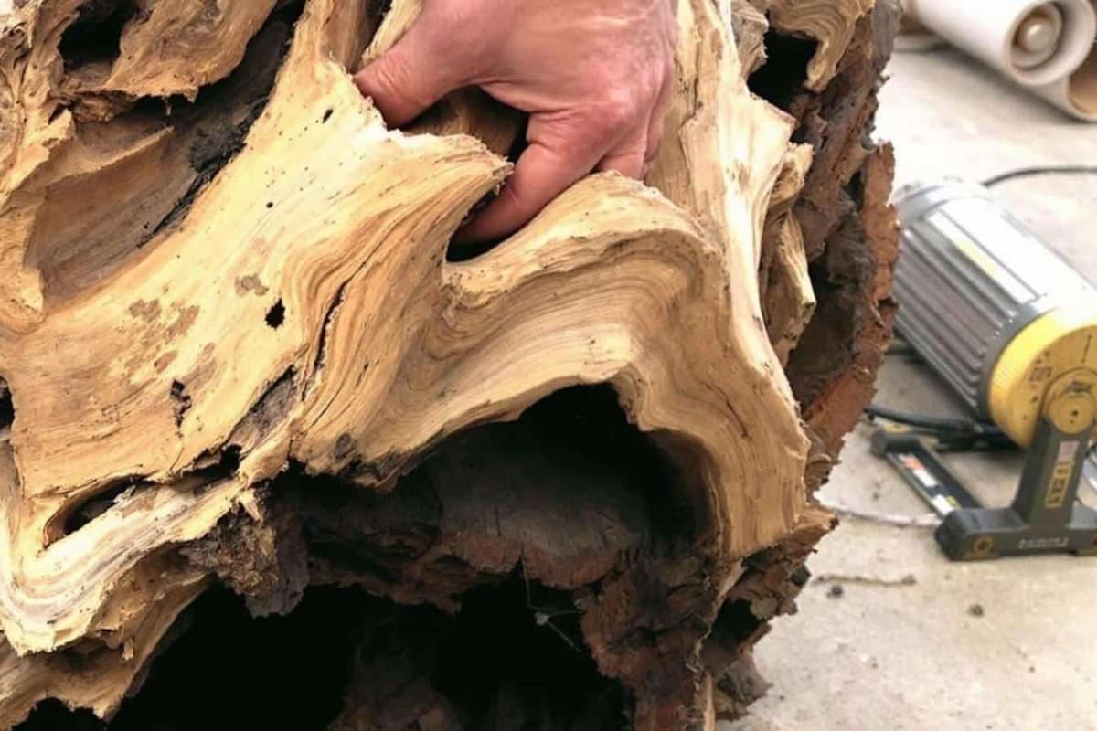 Poêle à bois moderne, bûches sèches et seau à cendres dans un salon
