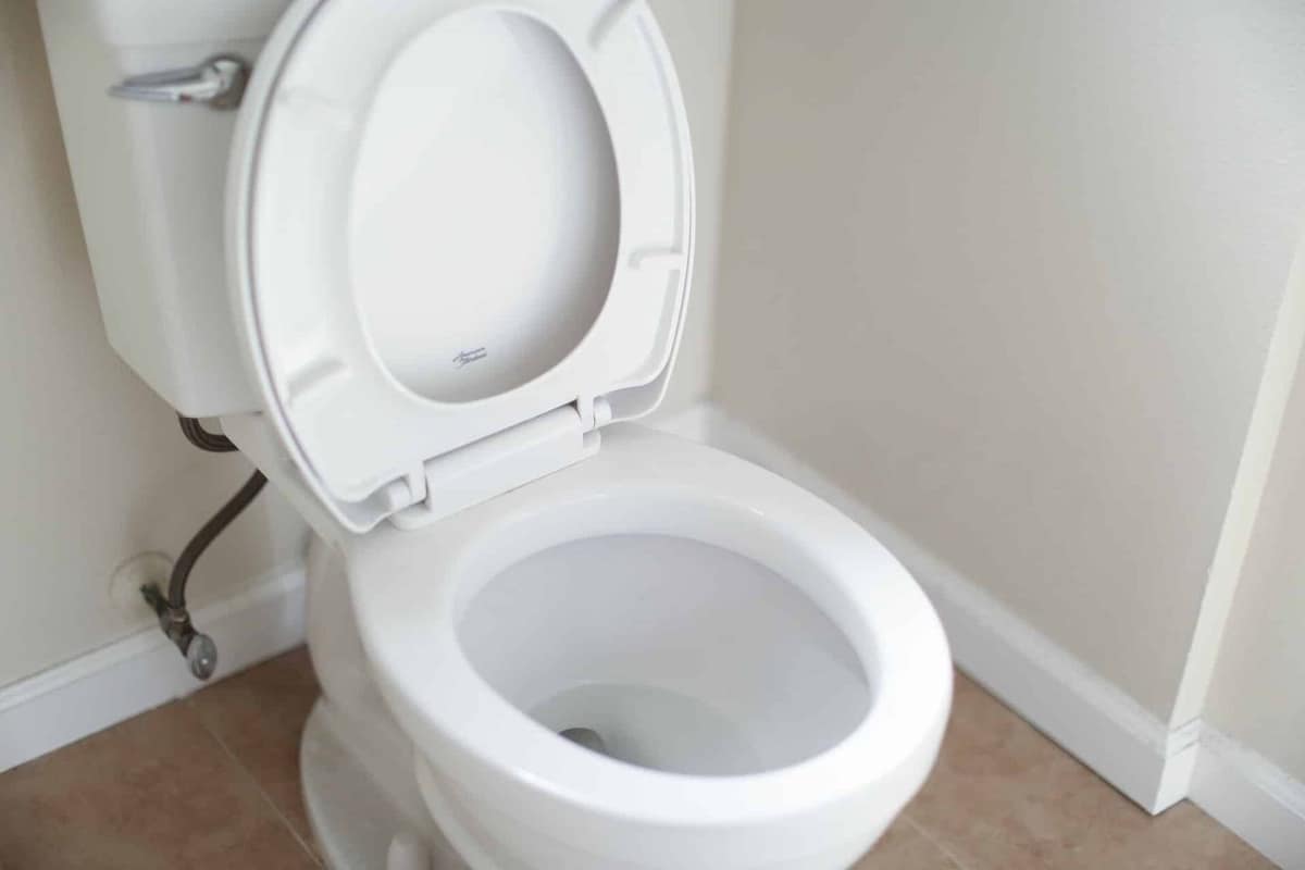Ventouse à collerette posée près de toilettes dans une salle de bain claire