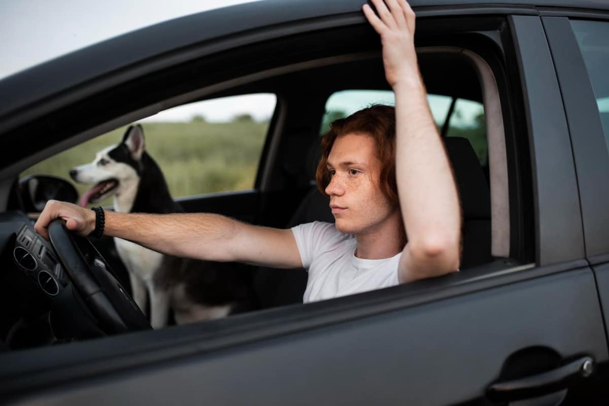 E-photo et permis de conduire posés sur une table en bois