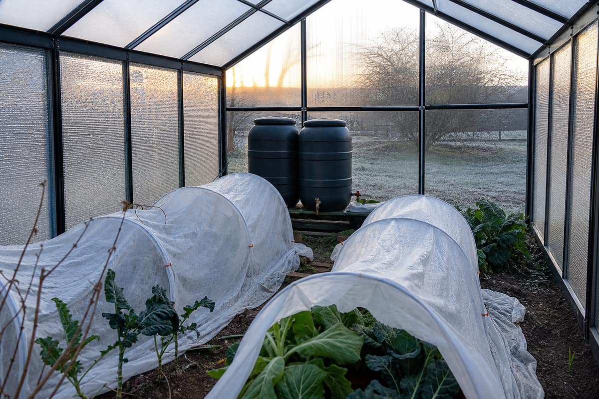 Serre d’hiver isolée avec barils d’eau et voiles sur les cultures