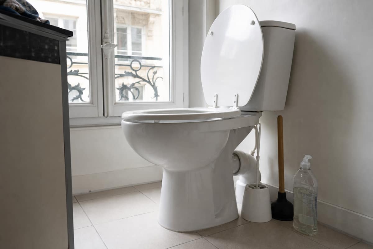 Liquide vaisselle, ventouse et brosse près d’une cuvette de toilettes blanche